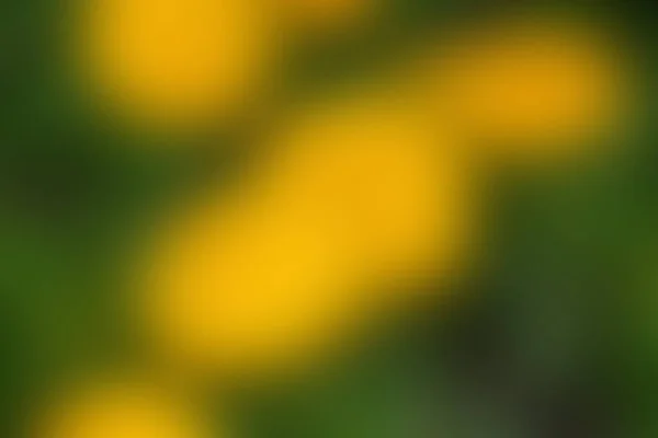 Rozmazané velké skvrny teplého žlutooranžového světla na zeleném lesním pozadí. Sluneční svit — Stock fotografie