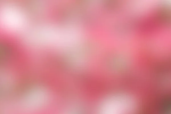 Abstraktní měkké rozmazané světle růžové a bílé pozadí. Květy — Stock fotografie