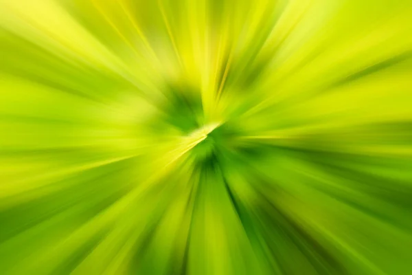 Efecto zoom de movimiento de naturaleza amarilla y verde — Foto de Stock