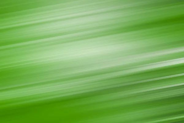 색깔 이 다양 한 백색 과 녹색 숲의 움직임 이 흐릿 해진다 — 스톡 사진
