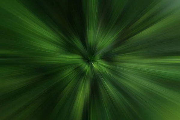 울창 한 숲 속의 녹색 과 검은색의 움직임 — 스톡 사진