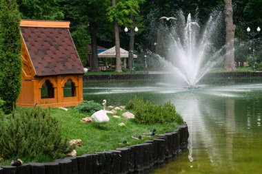 Kharkiv, Ukrayna - 6 Haziran 2021. Central Park 'taki gölün ortasında küçük bir adada dinlenen bir beyaz kuğu ve beş ördek. Arka plandaki çeşme