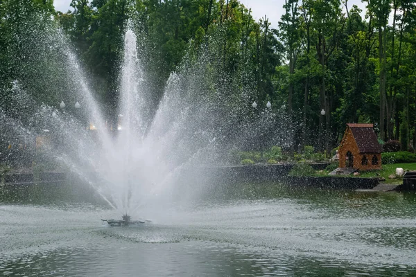 Kharkiv, Ukrayna - 6 Haziran 2021. Büyük bir çeşme. Arka planda ördekler ve kuğular olan küçük bir ada. Central Park — Stok fotoğraf