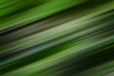 Koyu yeşil, kahverengi ve sarı hızlanma. Orman