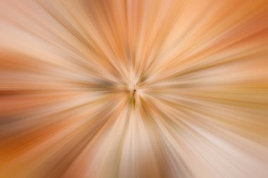 Zencefil ve kahverengi dinamik ileri patlama