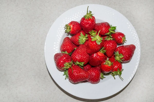 Fotokopi aletiyle dolu bir tabak olgun çilek.