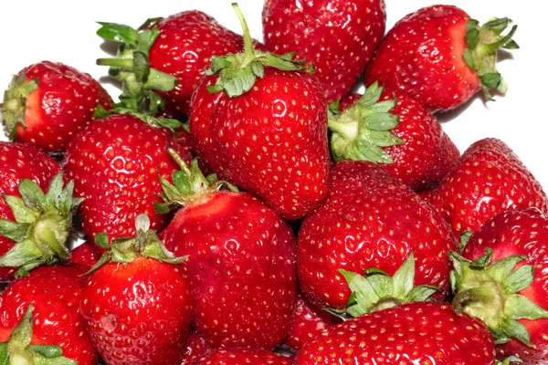 Gros plan de fraises fraîches mûres sur fond blanc — Photo