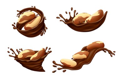 Çikolatada Brezilya fındığı ve beyaz arka planda izole edilmiş damlalar. Gerçekçi vektör illüstrasyonu.