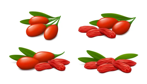 Bayas Goji Frescas Secas Con Hojas Verdes Aisladas Sobre Fondo — Vector de stock