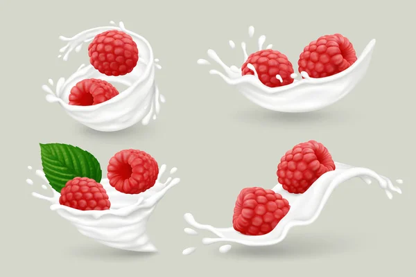 Percikan Susu Dengan Buah Raspberry Merah Dan Daun Hijau Diisolasi - Stok Vektor
