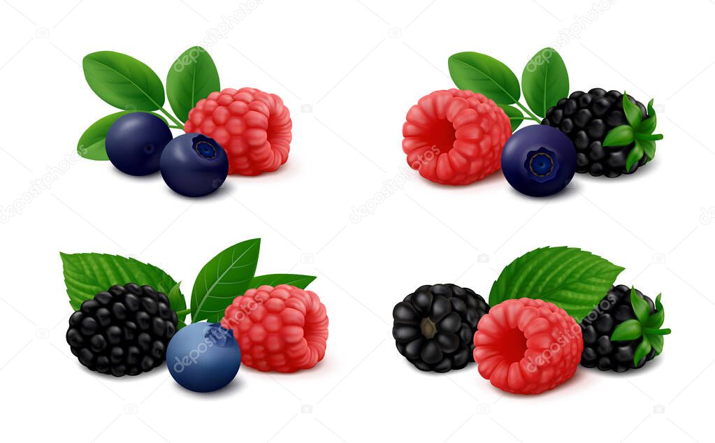 Mix of wild berries  raspberry, blackberry, blueberry and bilberry with green leaves, isolated on white background. Realistic vector illustration.
