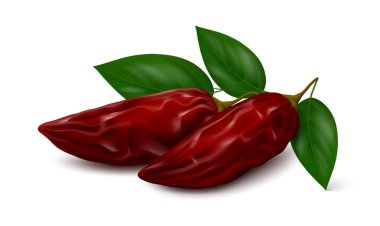 Beyaz arka planda üç yeşil yapraklı iki dumanlı kırmızı biber kabuğu (chipotles). Gerçekçi vektör illüstrasyonu.
