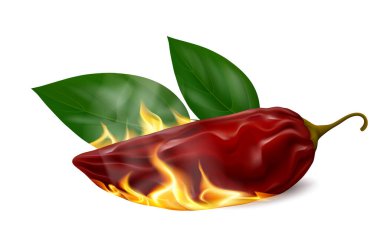 Duman kurutulmuş kırmızı biberli biber kabuğu (chipotle) ve beyaz arka planda izole edilmiş yapraklar. Gerçekçi vektör illüstrasyonu.