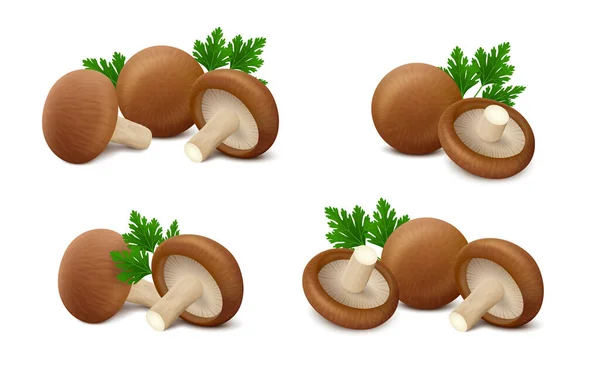Groups Fresh Shiitake Mushrooms Green Leaves Parsley Isolated White Background — Stock Vector