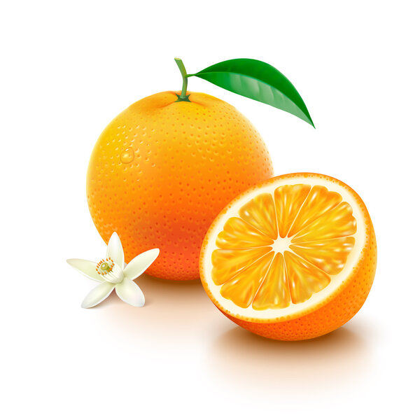 Orange fruit with half and flower on white background