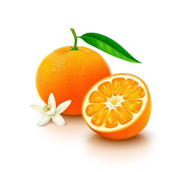 Tangerine fruit with half and flower on white background