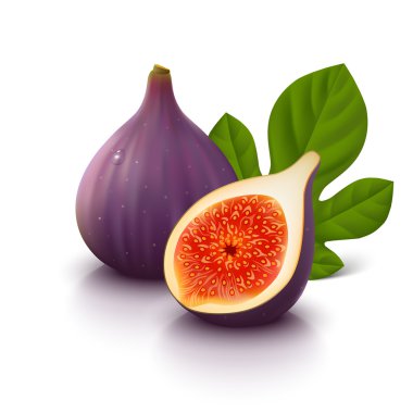 Figs fruit on white background clipart