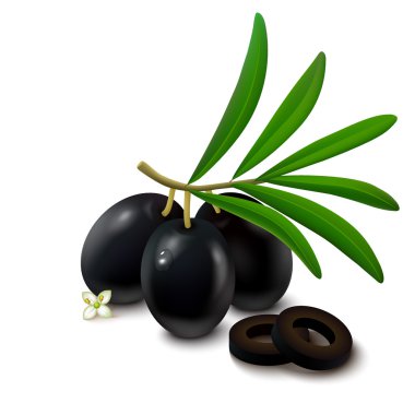 beyaz arkaplanda siyah zeytin