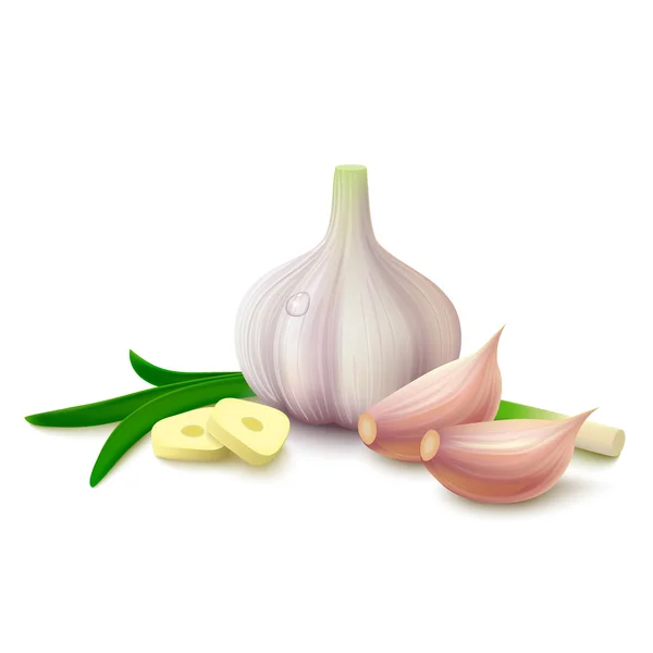 Garlic on white background — Stock Vector