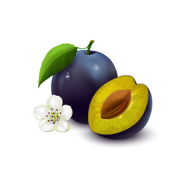 слива на белом фоне