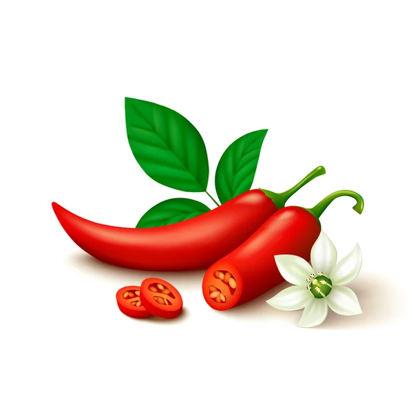 Piros chili paprika elszigetelt fehér háttér — Stock Vector