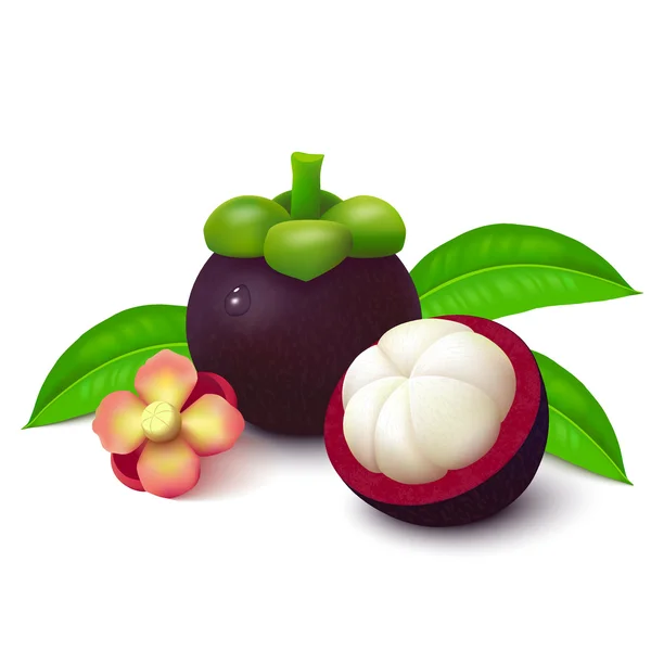 Beyaz arka planda mangosteen