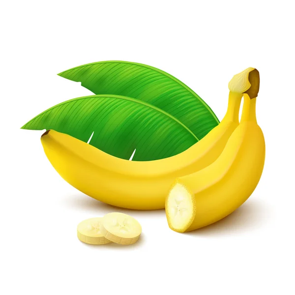Bananer på vit bakgrund — Stock vektor