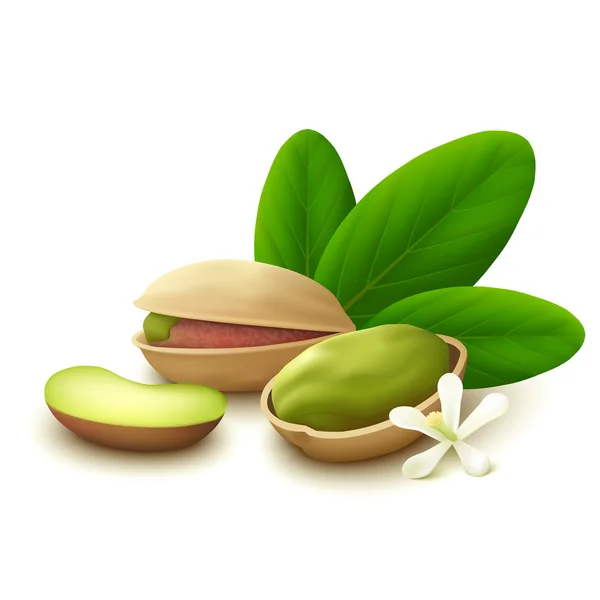 Beyaz arka planda fıstıklar