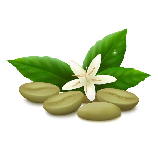 Beyaz arka planda yeşil kahve çekirdekleri
