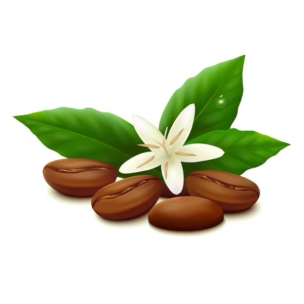 Beyaz arka planda kavrulmuş kahve çekirdekleri