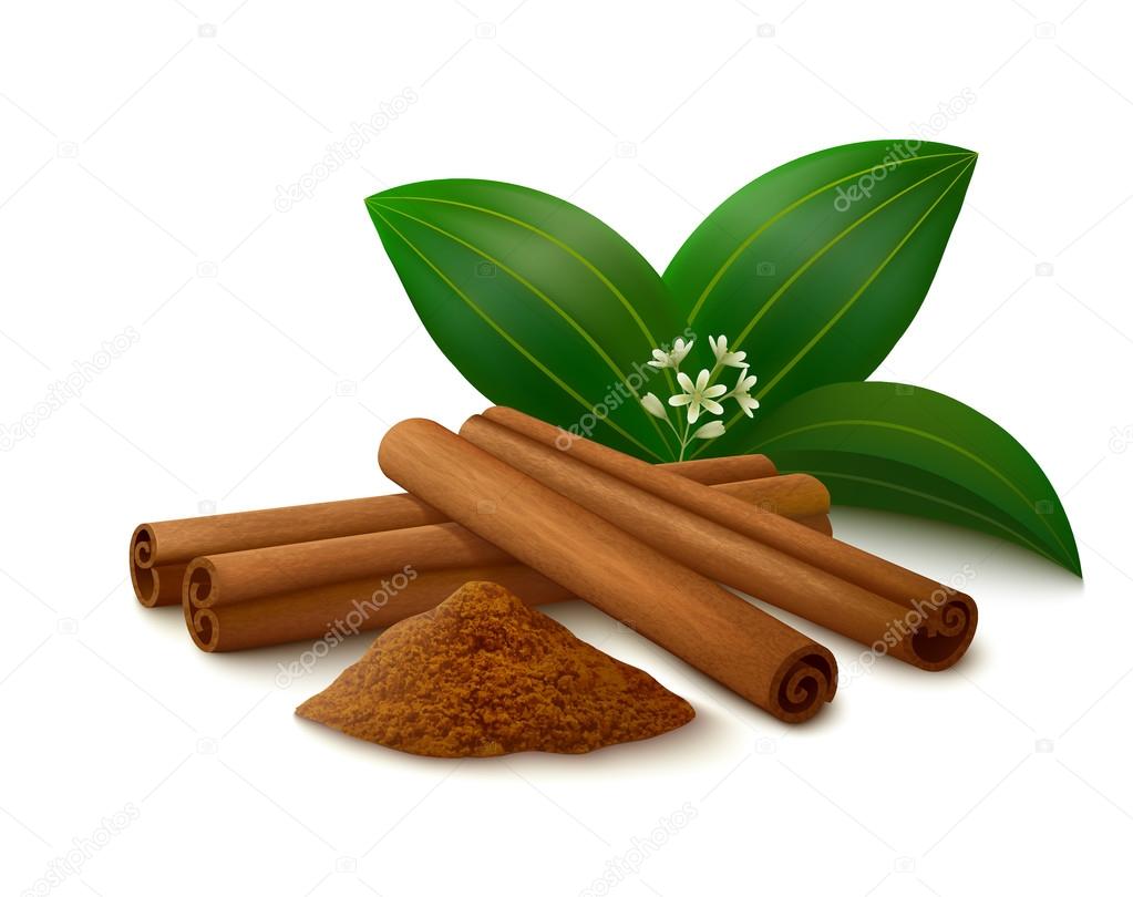 Cinnamon on white background