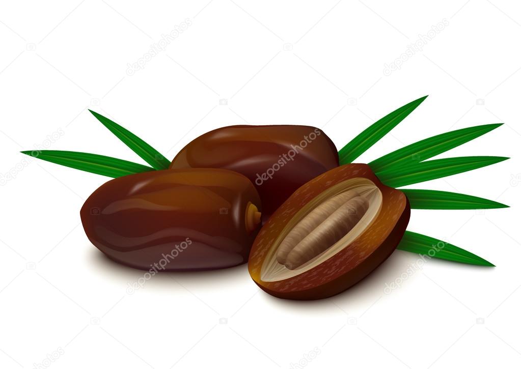 Dates on white background