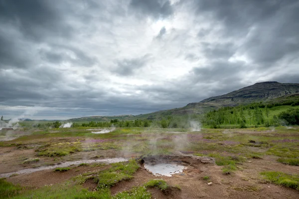 Smoking geyser in Iceland Royalty Free Stock Photos