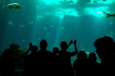 İnsanlar silhouetes su parkı