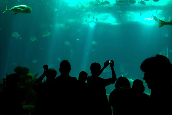 Parc aquatique avec des silhouettes de personnes — Photo