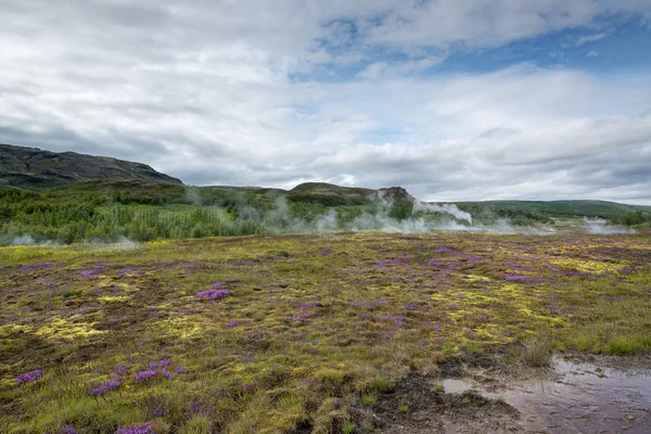 Geyser landskapet på Island — Stockfoto