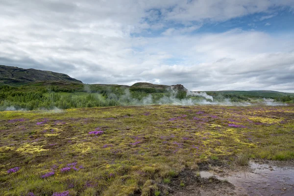 Geyser landscape in Iceland Stock Photo