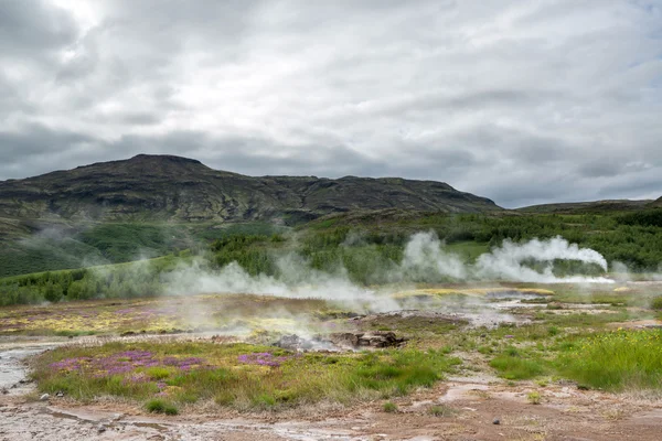 Geyser landscape in Iceland Stock Image