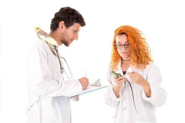 Veterinär läkare man och kvinna — Stockfoto