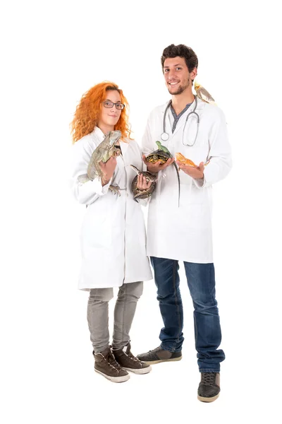 Veterinär läkare man och kvinna — Stockfoto