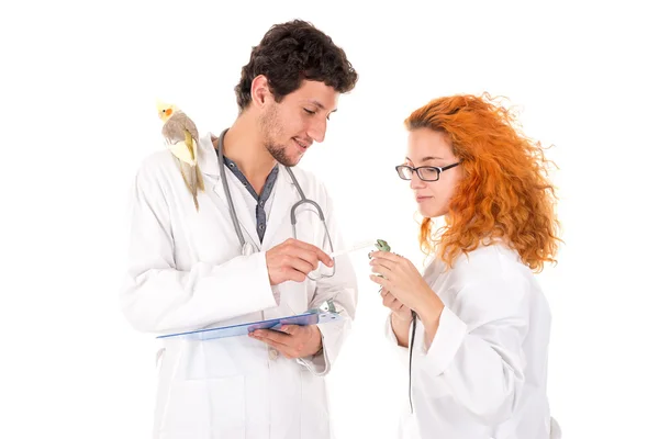 Ветеринарные врачи мужчина и женщина — стоковое фото