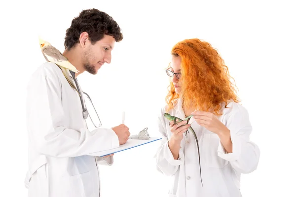 Medici veterinari uomo e donna — Foto Stock