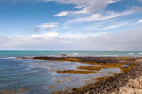 Ocean shore in IJsland — Stockfoto