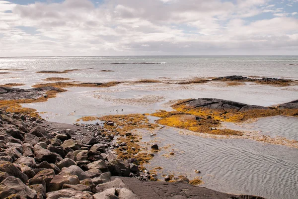 Brzeg oceanu w Islandii — Zdjęcie stockowe