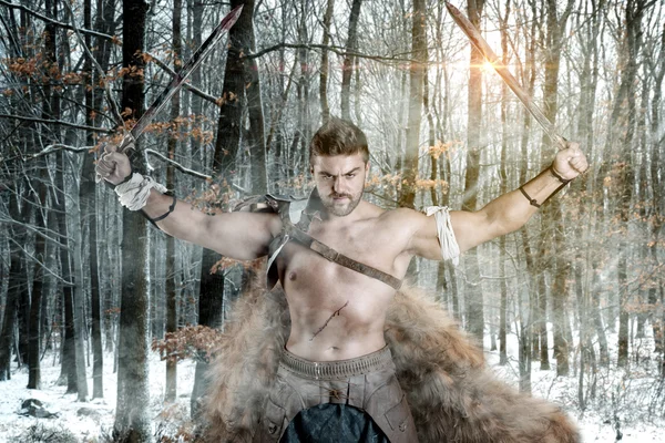 Ancient Gladiator, Warrior — Stock Photo, Image