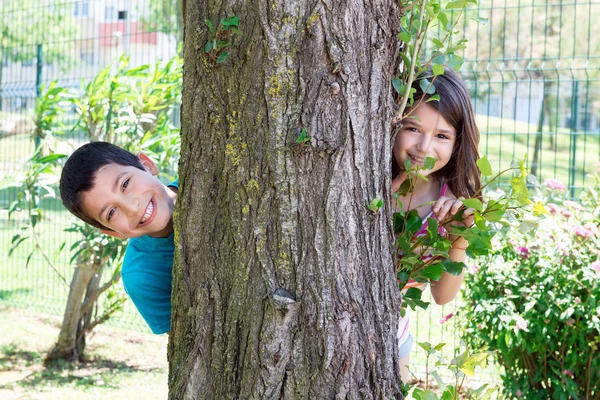 Kids in the park — Stock Photo, Image