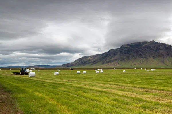 Hay fields — Stock Photo, Image