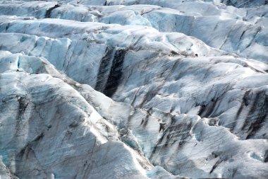 Svinafellsjokull Buzulu