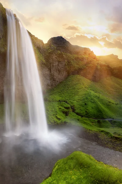 Seljalandsfoss waterfalls — Stock Image Seljalandsfoss waterfalls Royalty Free Stock Photos