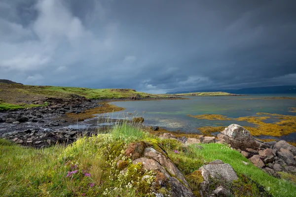 Prachtige rivier in IJsland — Stockfoto